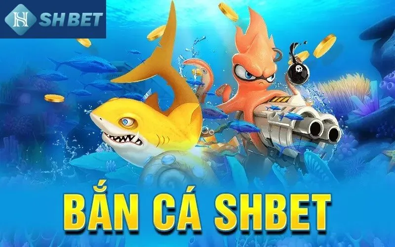 Trường hợp nào bet thủ nên liên hệ Shbet để được hỗ trợ?