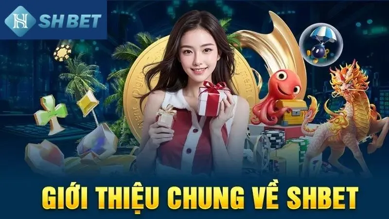 Các lý do tại sao người chơi nên theo dõi tin tức Shbet