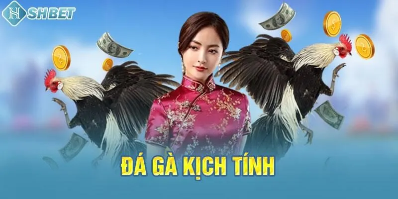 Đá gà kịch tính